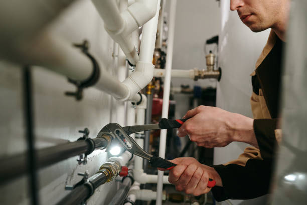 Best Same-Day Plumbing Service  in Daleville, IN