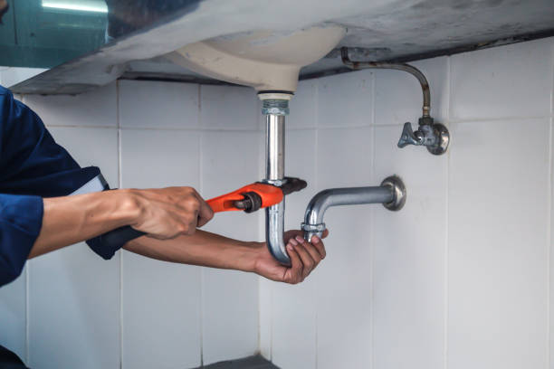 Best Local Plumber Services  in Daleville, IN