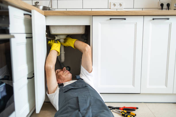 Best Plumbing Inspection Services  in Daleville, IN